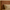 Everly Bed With Premium Fabric And Box Storage - King Bed